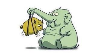 散户吃瓜观望视频,揭秘股市中的“旁观者心态”