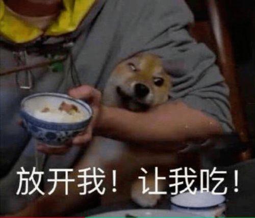 吃瓜群众调皮打脸大笑视频,视频笑翻众人