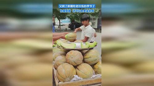 新疆老汉吃瓜视频播放,瓜农生活引网友热议
