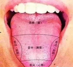 吃瓜把舌头吃破了视频,吃瓜意外受伤，舌头破裂引关注