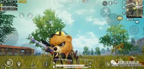 大熊的吃瓜视频大全下载